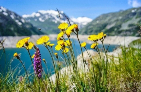 Հայաստանի որոշ հատվածներում օդի ջերմաստիճանը կհասնի +38-ի. եղանակի տեսություն